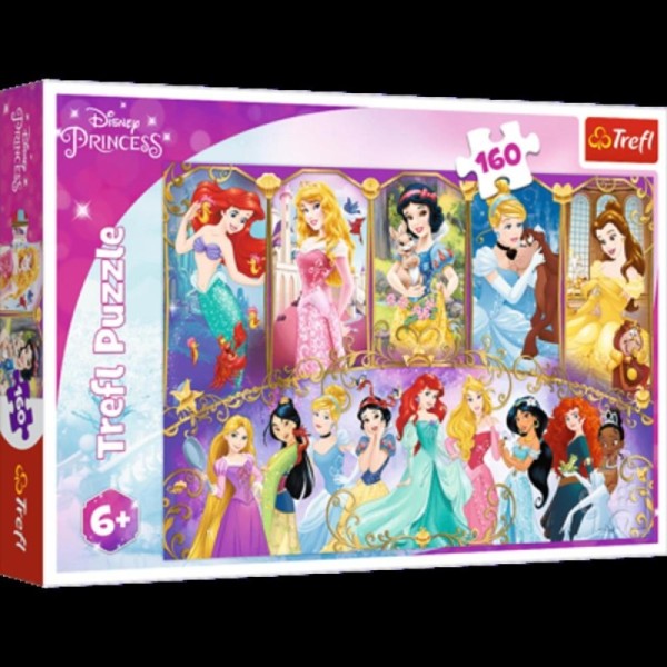 Puzzles 160 princesses 15407