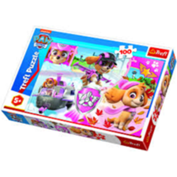 PUZZLE 100 PAW PATROL 16368