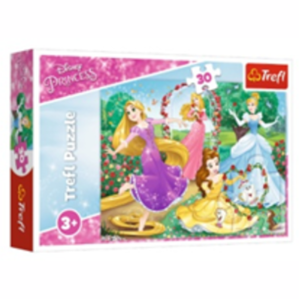 puzzles 30 be a princesse 18267