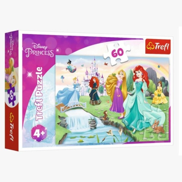 puzzles 60 meet the princesses disney princess 17361