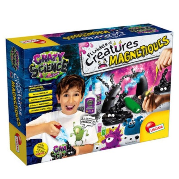 Le laboratoire des fluides &creatures magnetiques FR73061