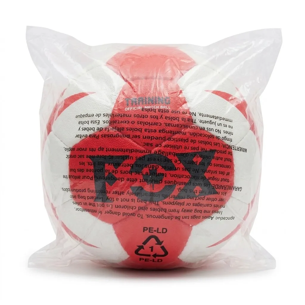 [1650568314] Ballon de handball t2