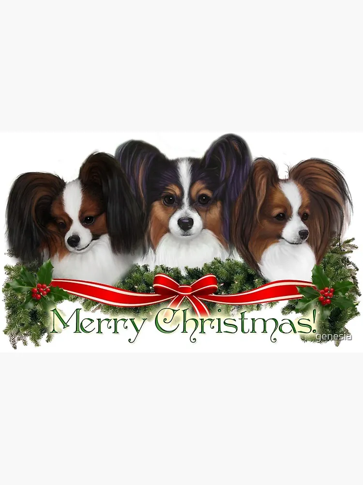 Papillon merry christmas