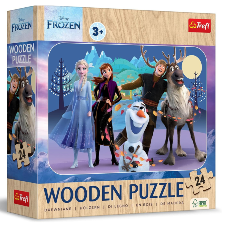 [1650564141] Puzzles 24 Wooden Puzzle Disney Frozen 2 20264