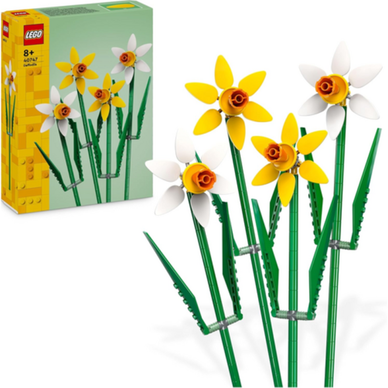 [16505650034] Les Jonquilles 40747