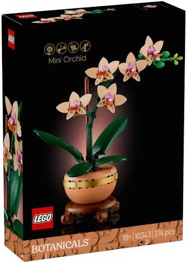 [1650566349] L'Orchidée Miniature 10343