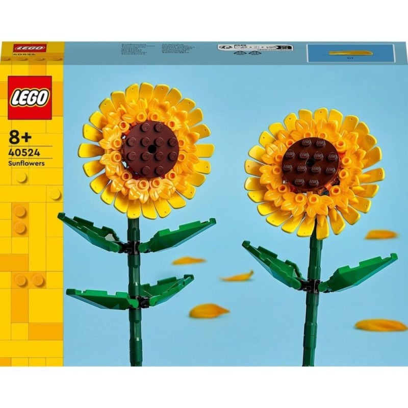 [1650566514] Tournesols 40524