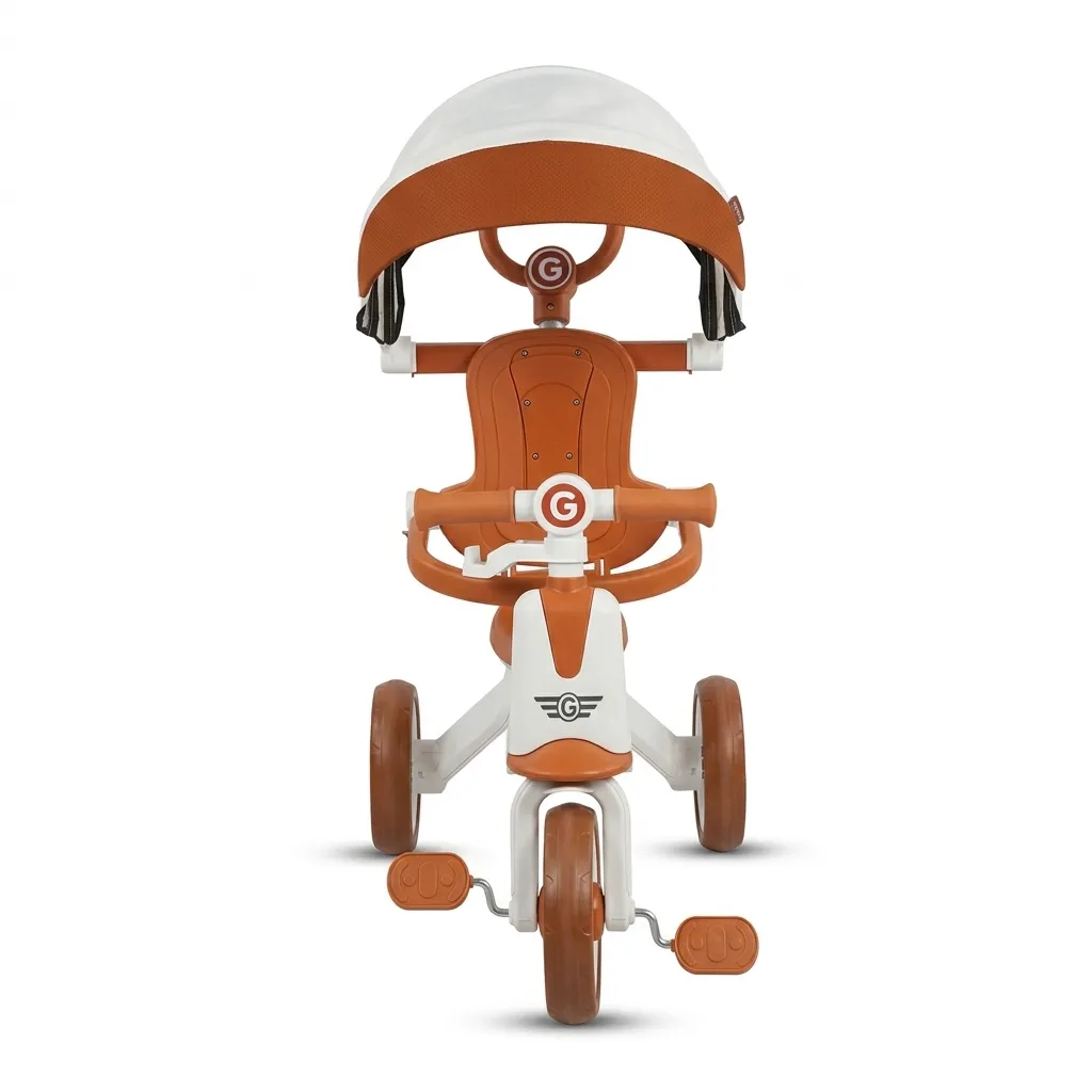 [1650566555] Tricycle avec canne et protection solaire 2509B510