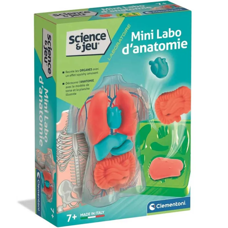[1650569057] Mini labo d'anatomie 52897